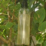 WhatsApp Image 2025-10-31 à 16.56.46_a9c2b739