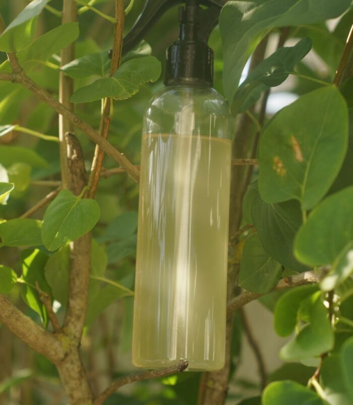 WhatsApp Image 2025-10-31 à 16.56.46_a9c2b739 WhatsApp Image 2025-10-31 à 16.56.46_a9c2b739