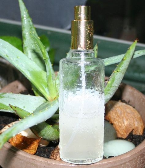 WhatsApp Image 2025-10-31 à 16.56.47_3139233b WhatsApp Image 2025-10-31 à 16.56.47_3139233b